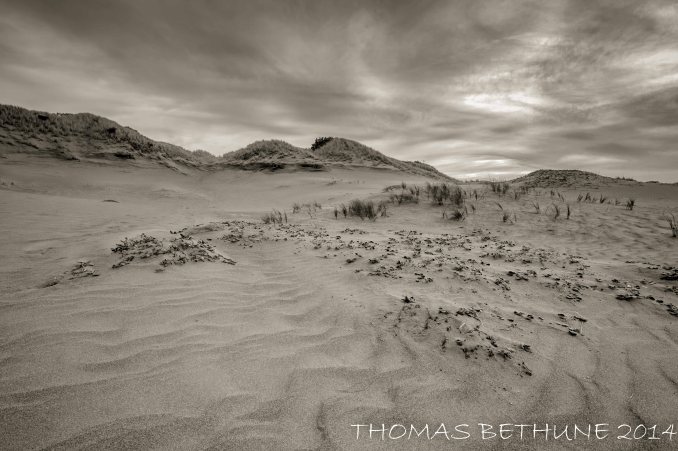 Another image of the dunes at ma le'l.